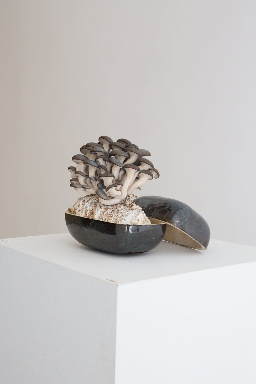 How Biodesign Is Rewiring Our Relationship With Nature
