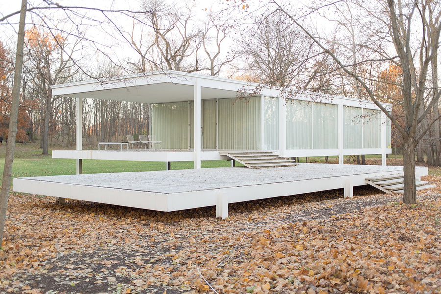 Behind the Artist: Ludwig Mies van der Rohe
