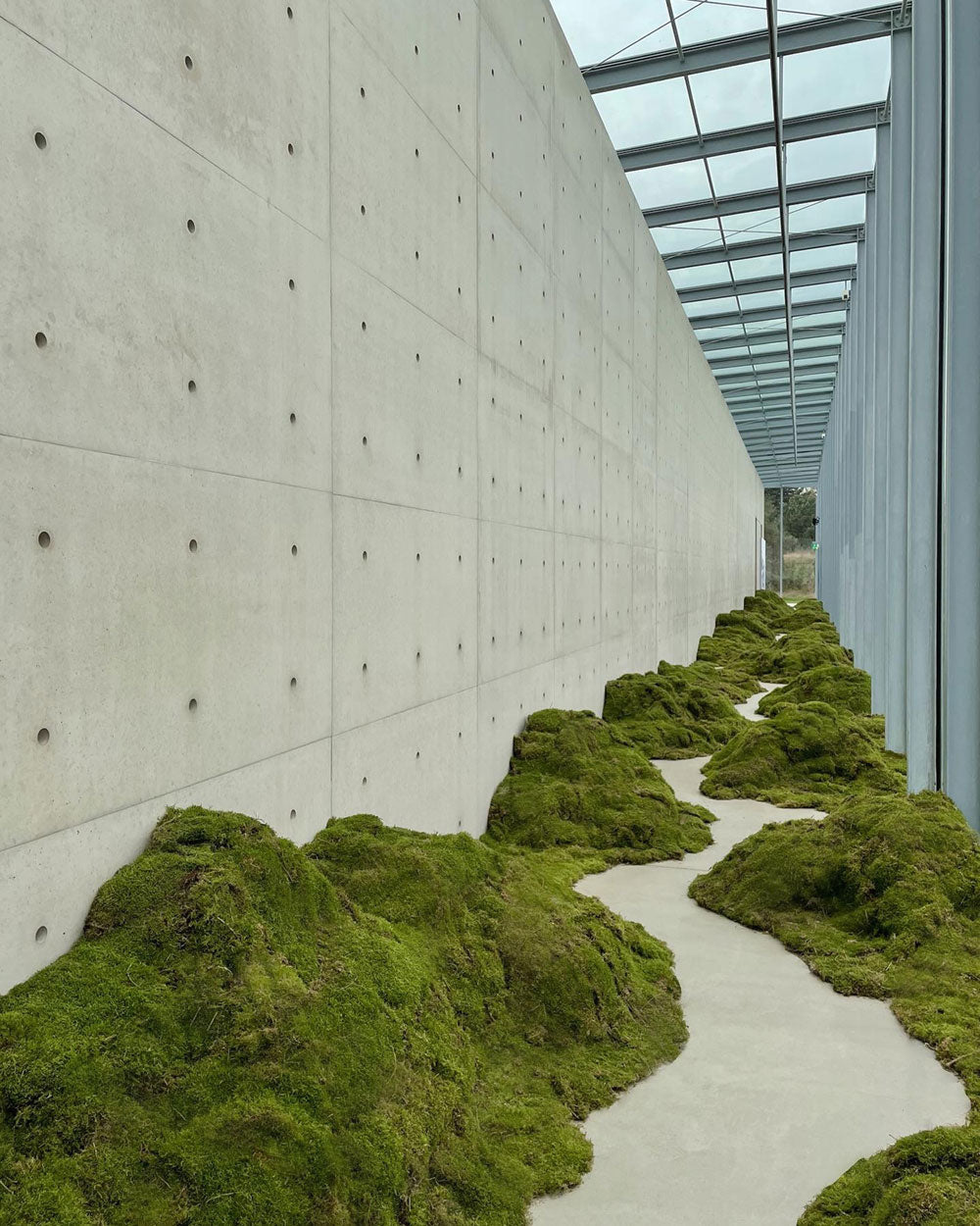Of Moss and Memory: Intentionally Cultivating Senses