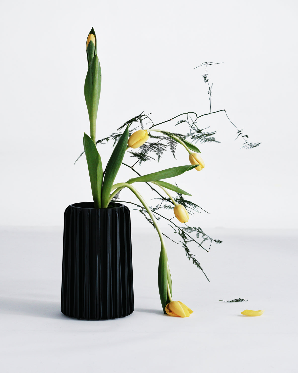 DUO 105 – Dual-Function Vessel – CALIPER – view 3