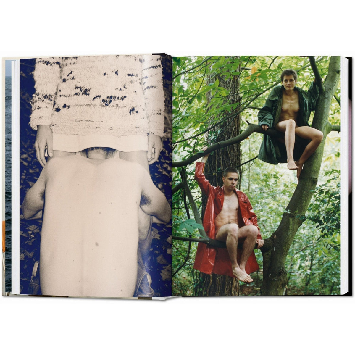 Wolfgang Tillmans. four books. 45th Ed. - Bücher - Taschen Verlag – view 4