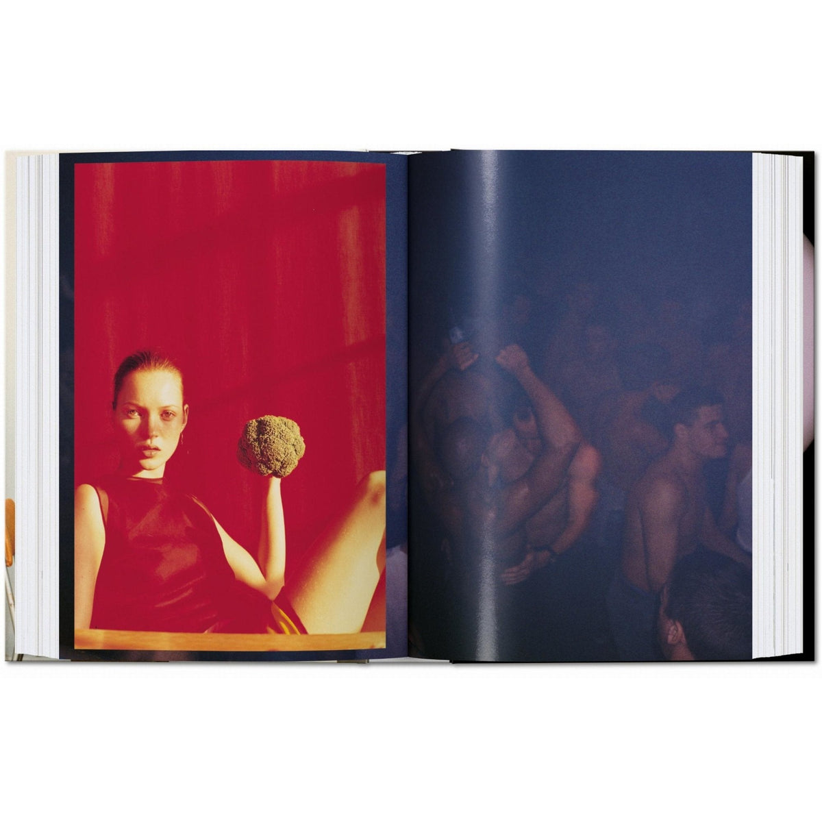 Wolfgang Tillmans. four books. 45th Ed. - Bücher - Taschen Verlag – view 6