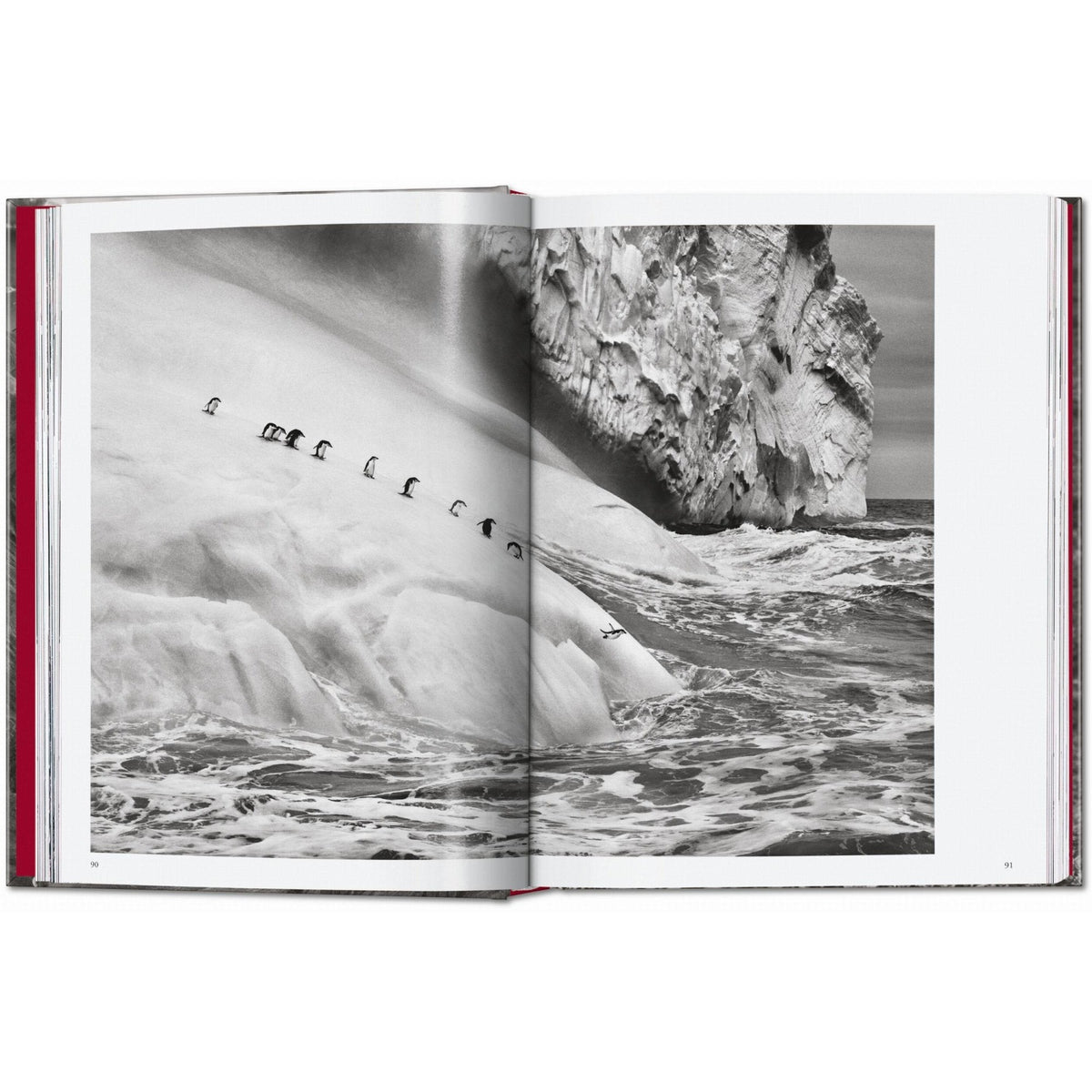 Sebastião Salgado. Genesis. 45th Ed. - Bücher - Taschen Verlag – view 7
