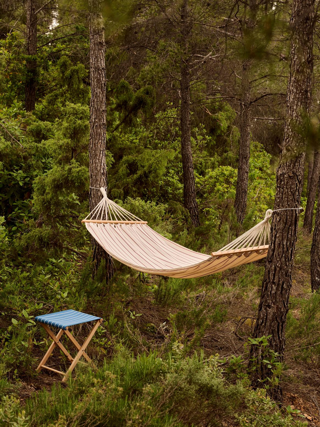 Outdoor Market Folding Hammock