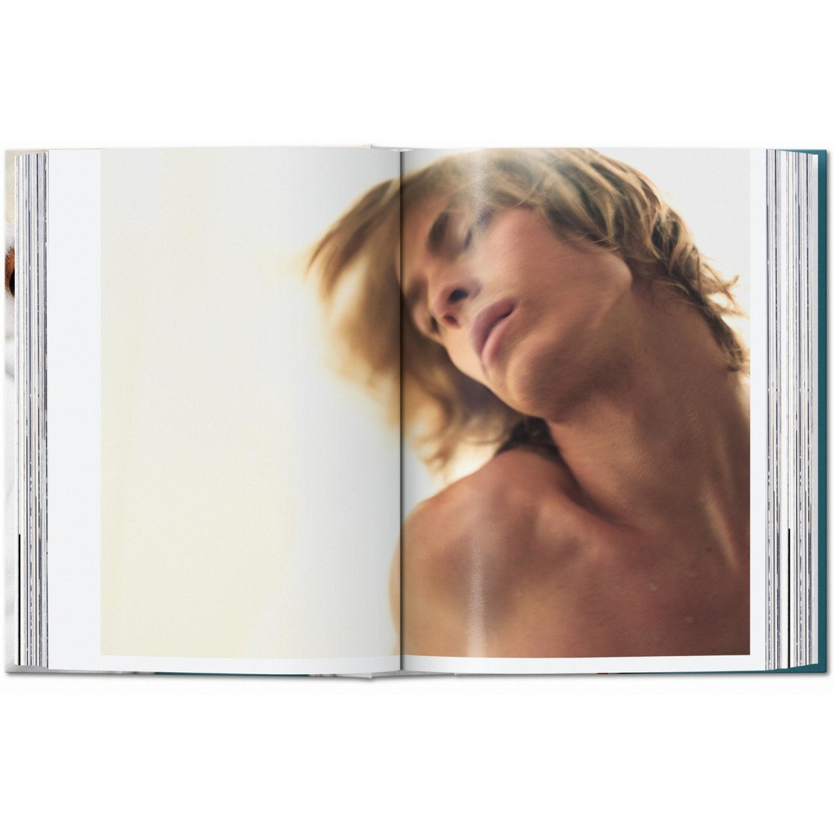 Mario Testino. SIR. 45th Ed. - Bücher - Taschen Verlag – view 3