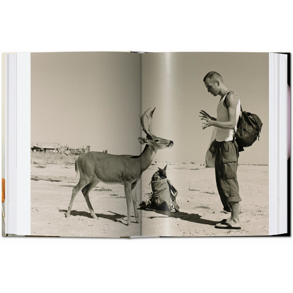 Wolfgang Tillmans. four books. 45th Ed. - Bücher - Taschen Verlag – view 5