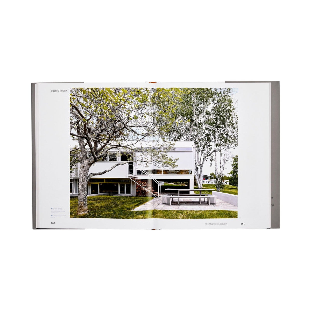 Breuer's Bohemia - Bücher - Phaidon – view 5