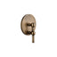 Bronzed Brass