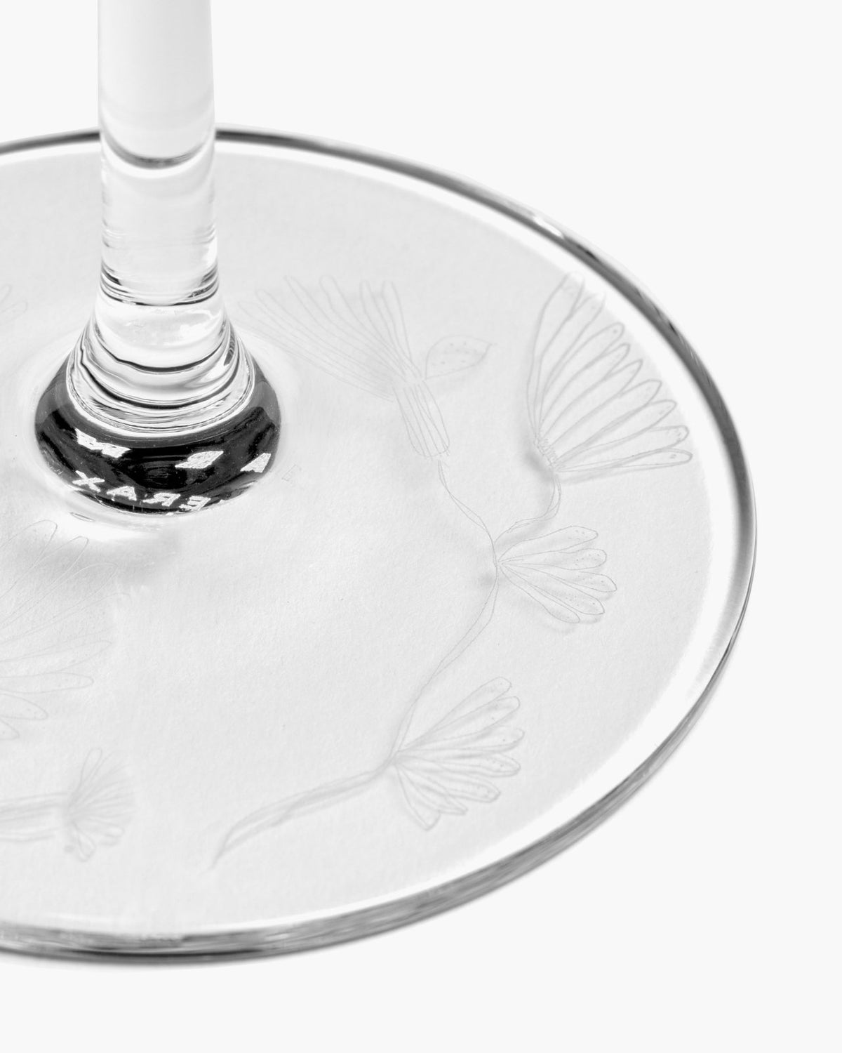 Champagne Flute 4 - Set Giftbox - Camelia Aubergine Midnight Flowers - Geschirr - Serax x Marni – view 3