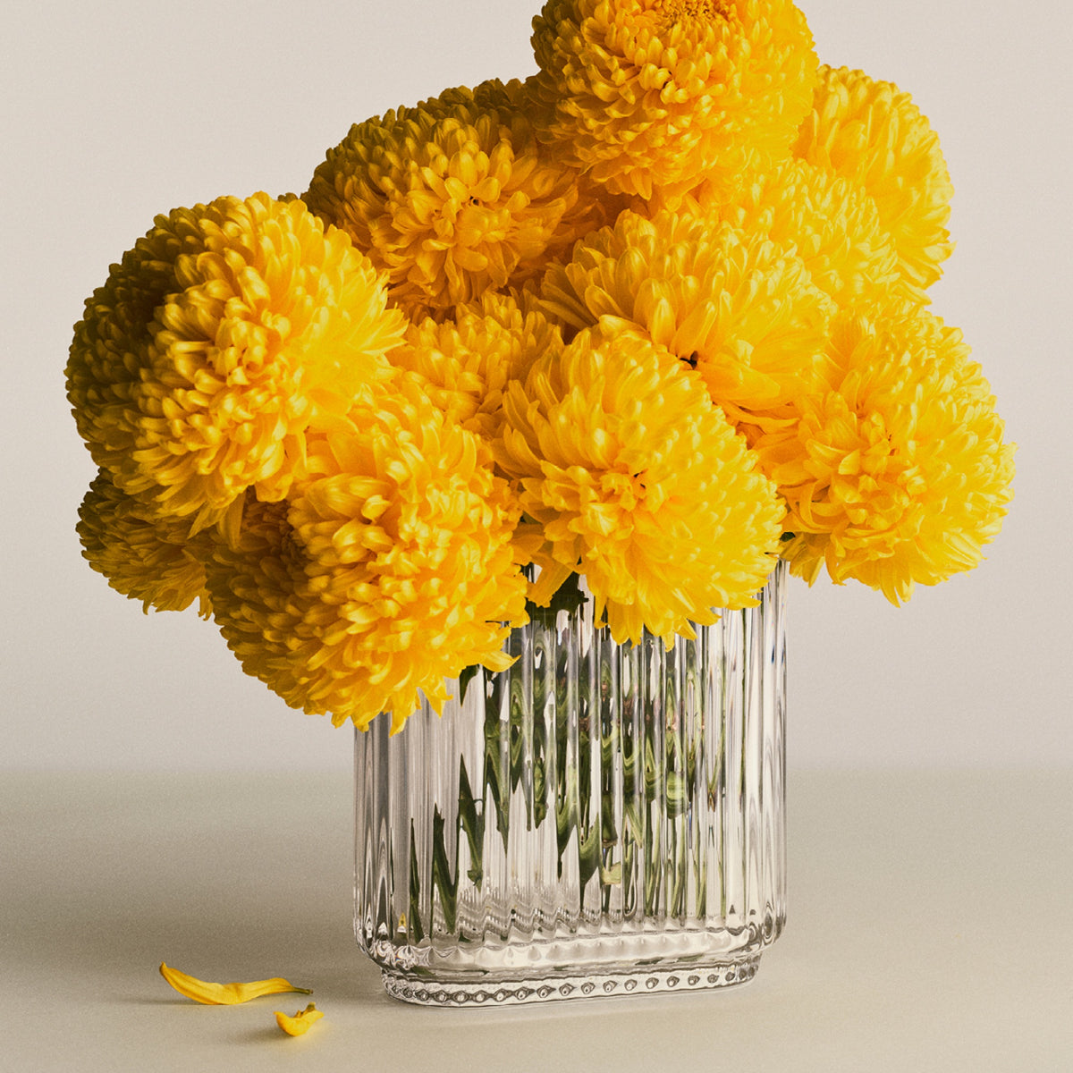 Bernadotte - Glass Vase