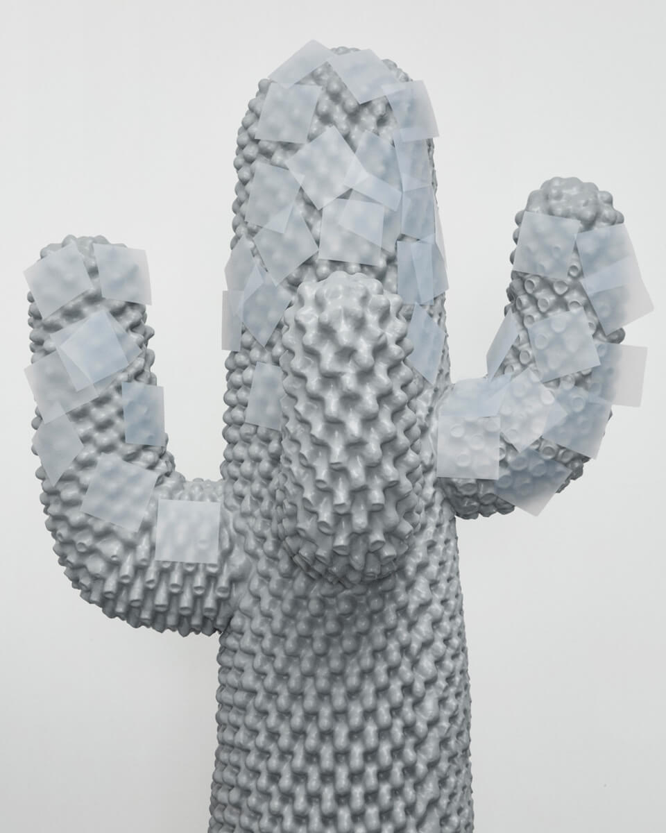 Boring Cactus – Gufram – view 3