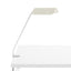 Oyster white