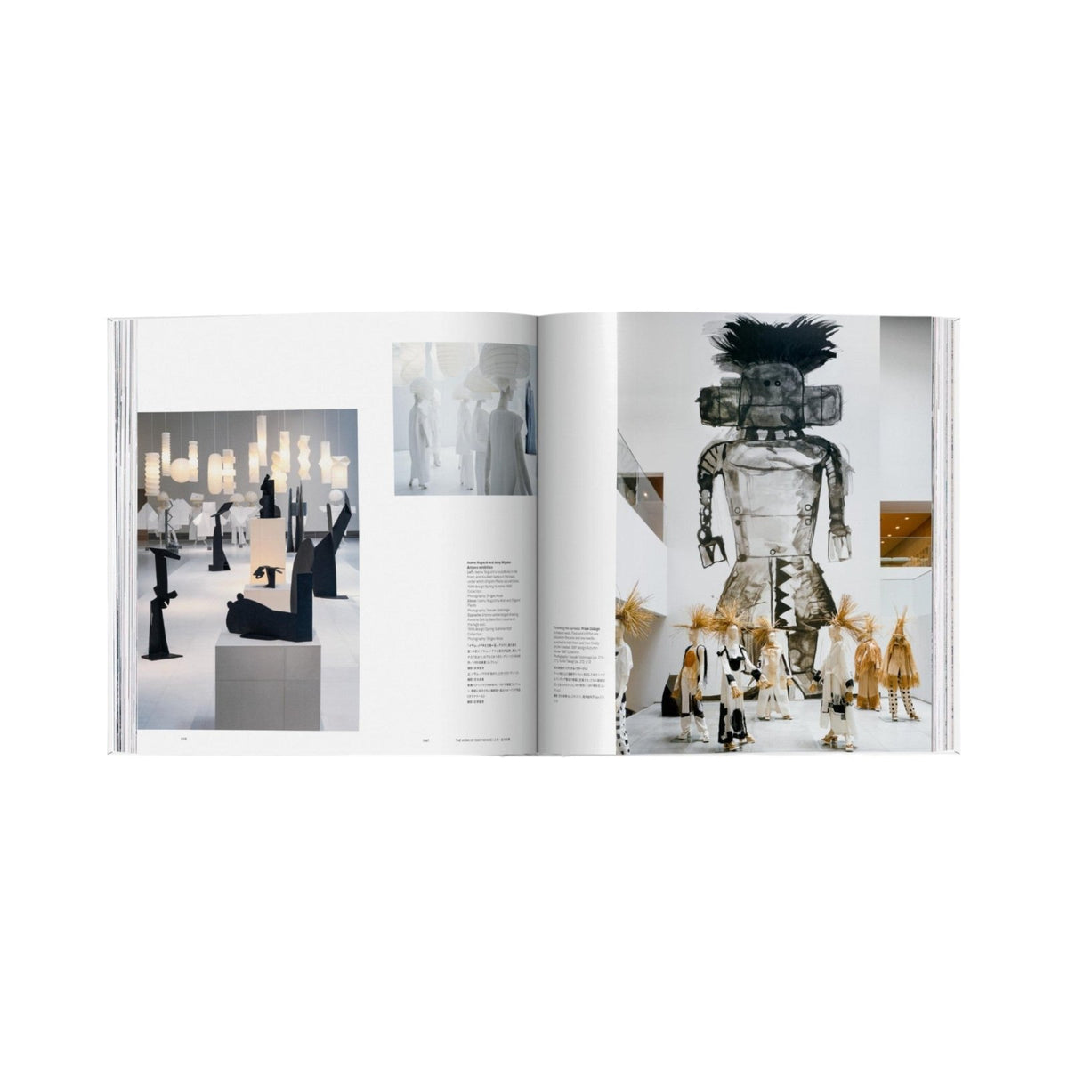 Issey Miyake - Bücher - Taschen Verlag – view 13