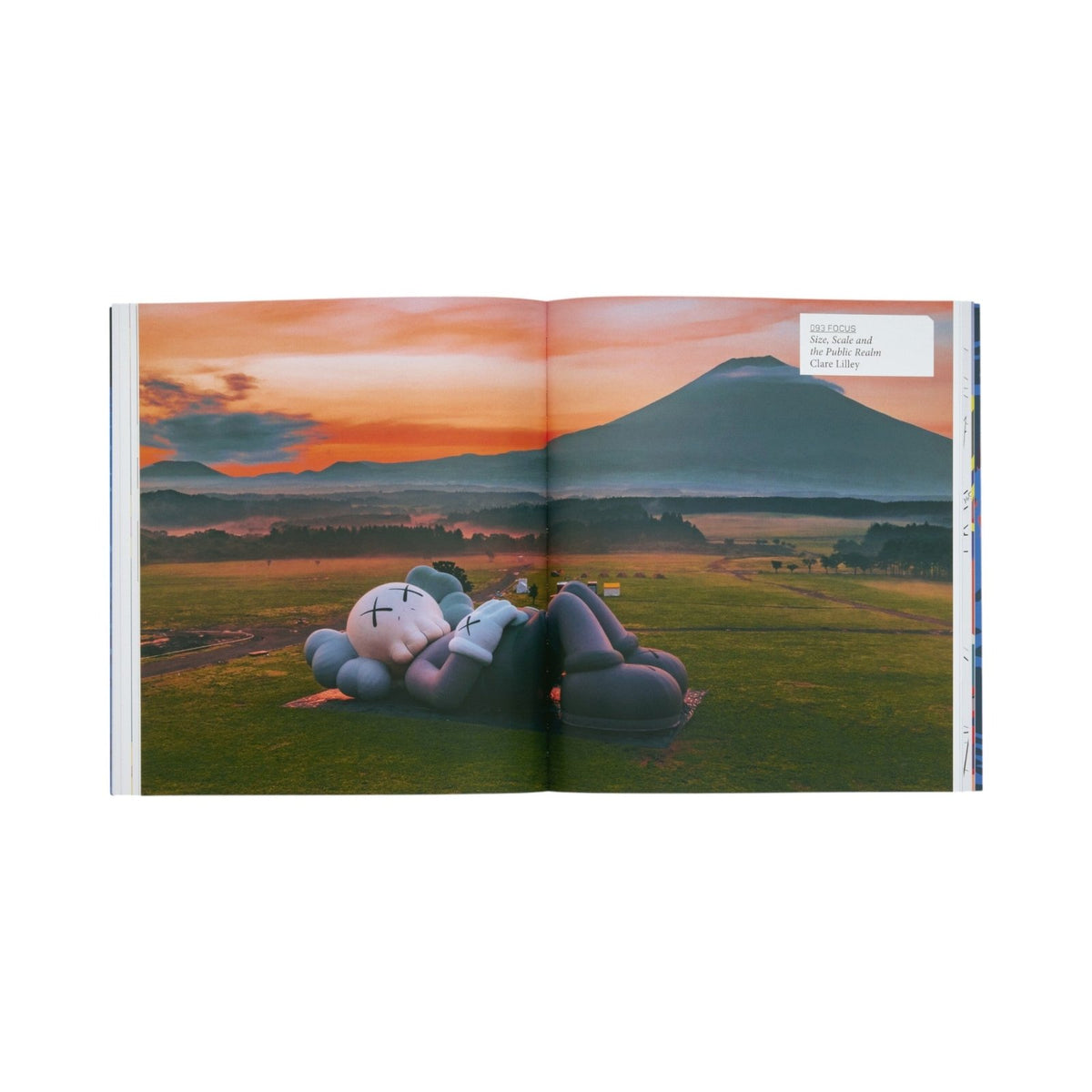 KAWS - Bücher - Phaidon – view 8