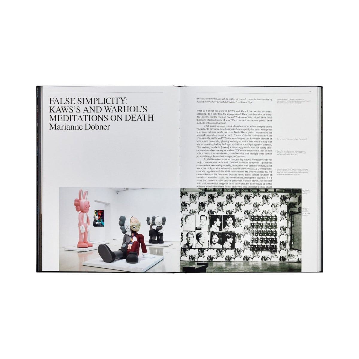 KAWS + Warhol - Bücher - Phaidon – Ansicht 5