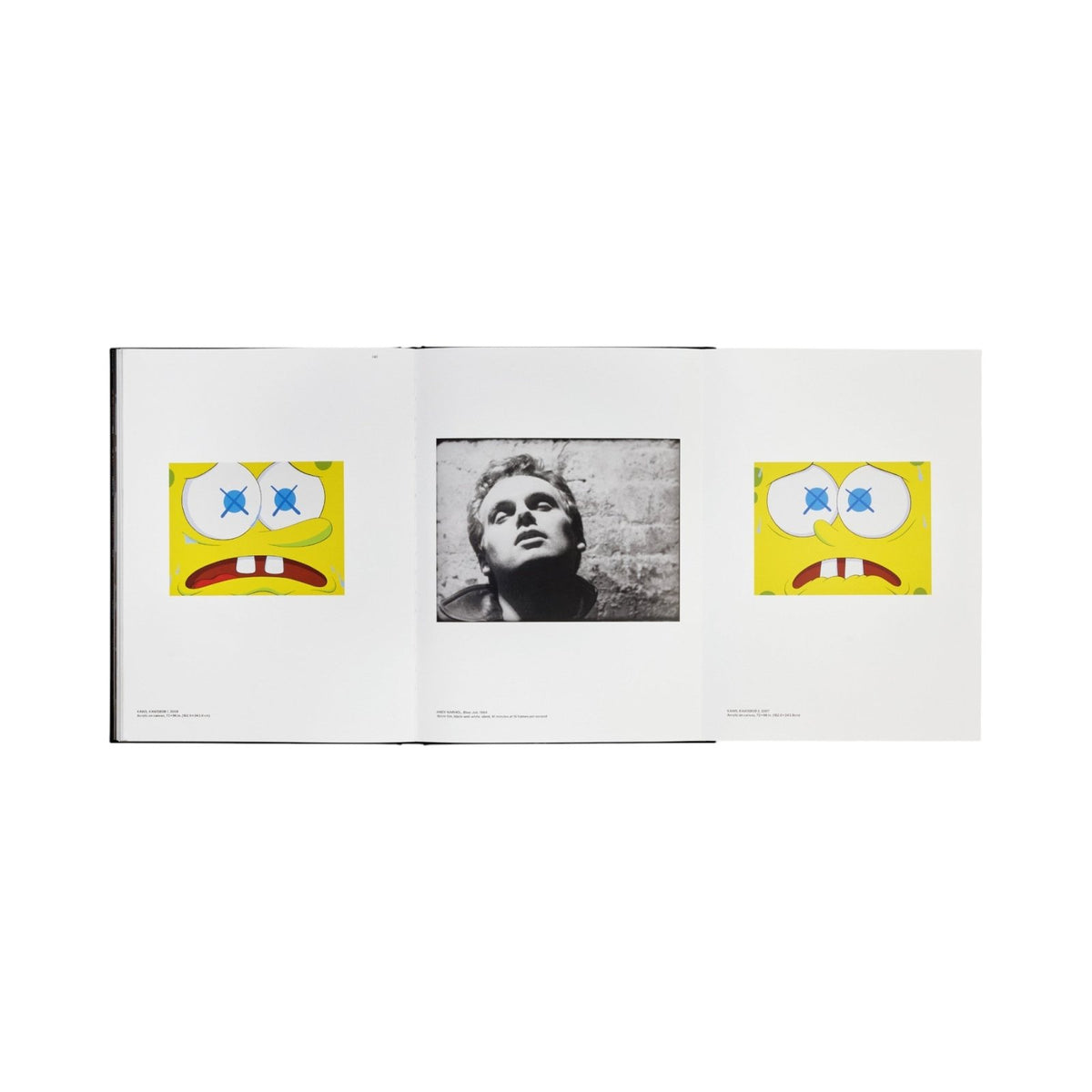 KAWS + Warhol - Bücher - Phaidon – Ansicht 9