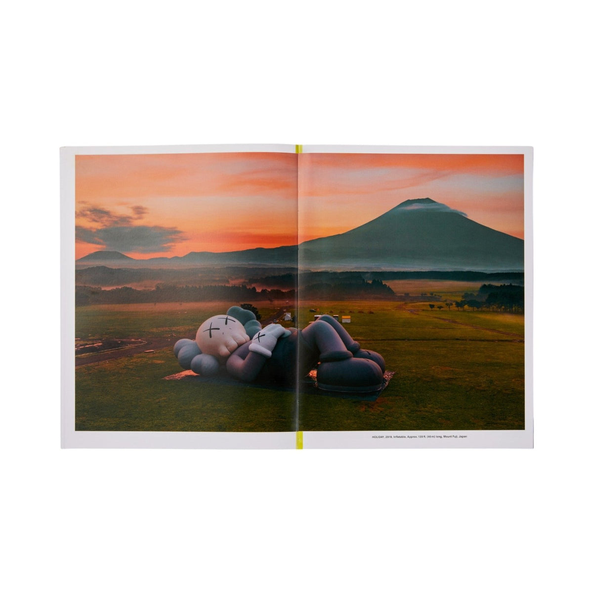 KAWS: WHAT PARTY - Black on Pink edition - Bücher - Phaidon – view 8