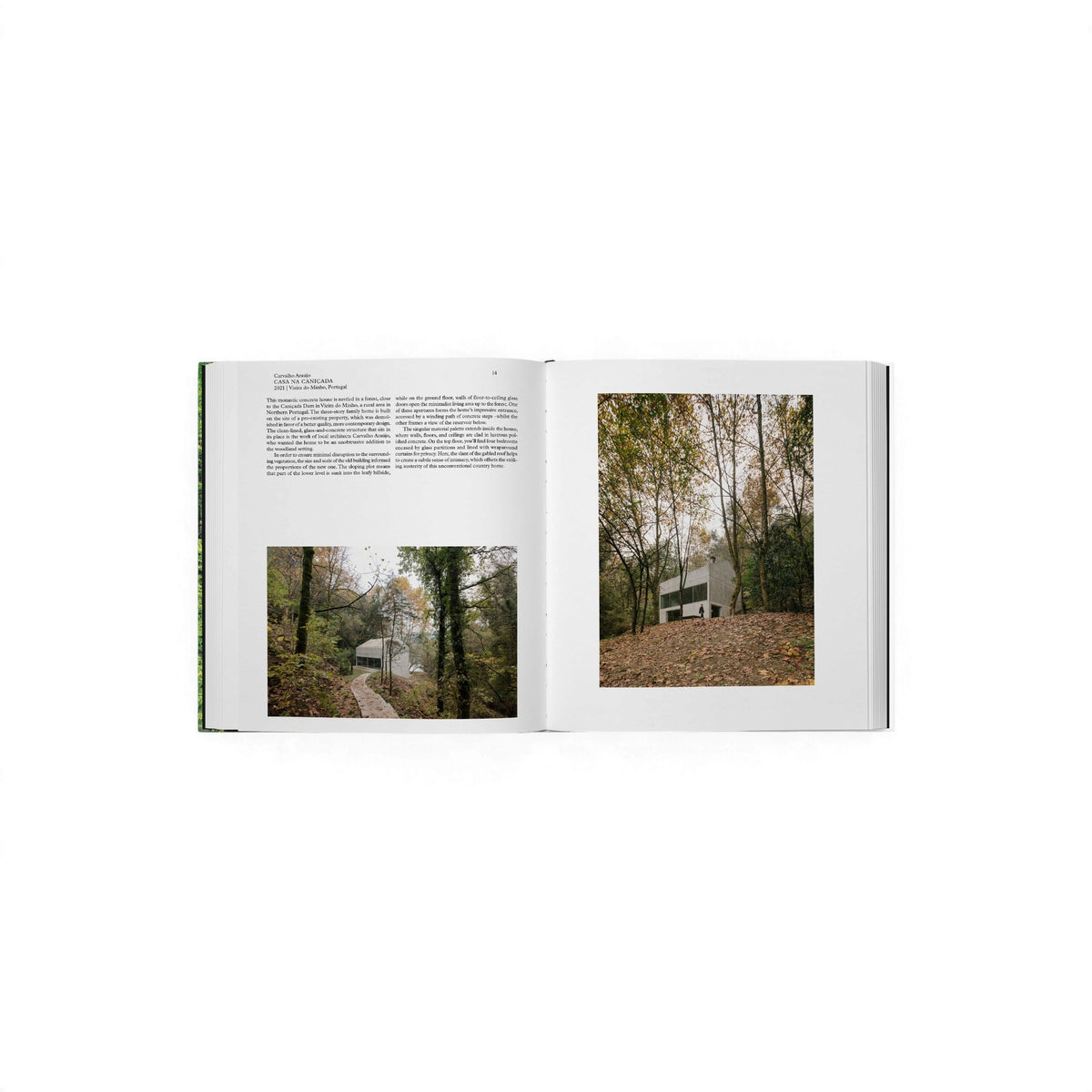 Living in the Forest - Bücher - Phaidon – Ansicht 4