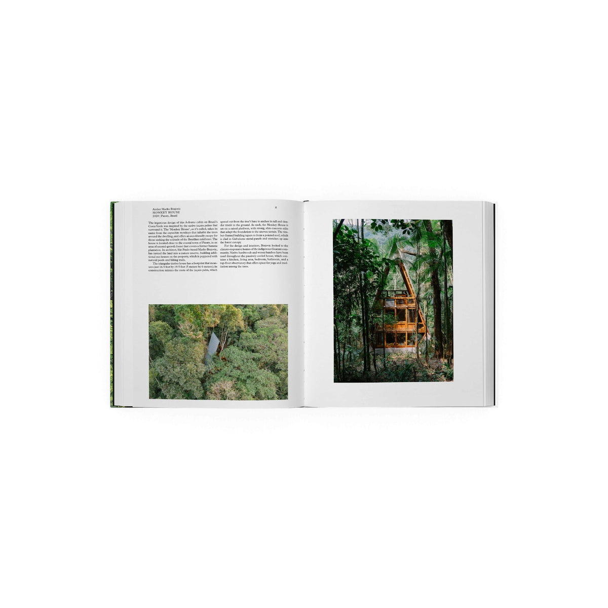 Living in the Forest - Bücher - Phaidon – Ansicht 5