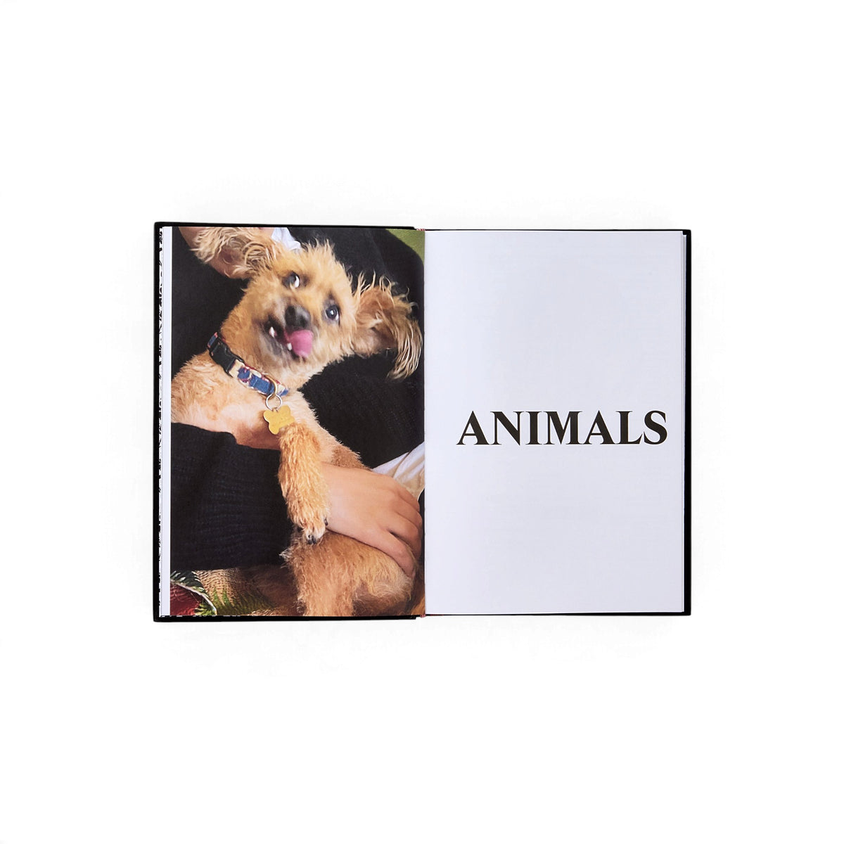 Palace Product Descriptions: The Selected Archive - Bücher - Phaidon – view 6