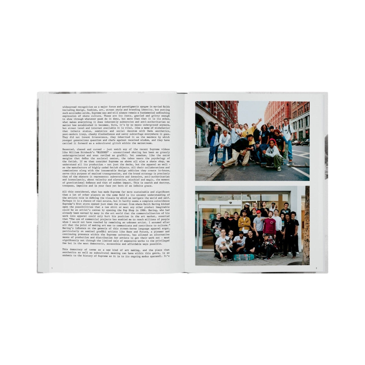 Supreme - Bücher - Phaidon – view 3