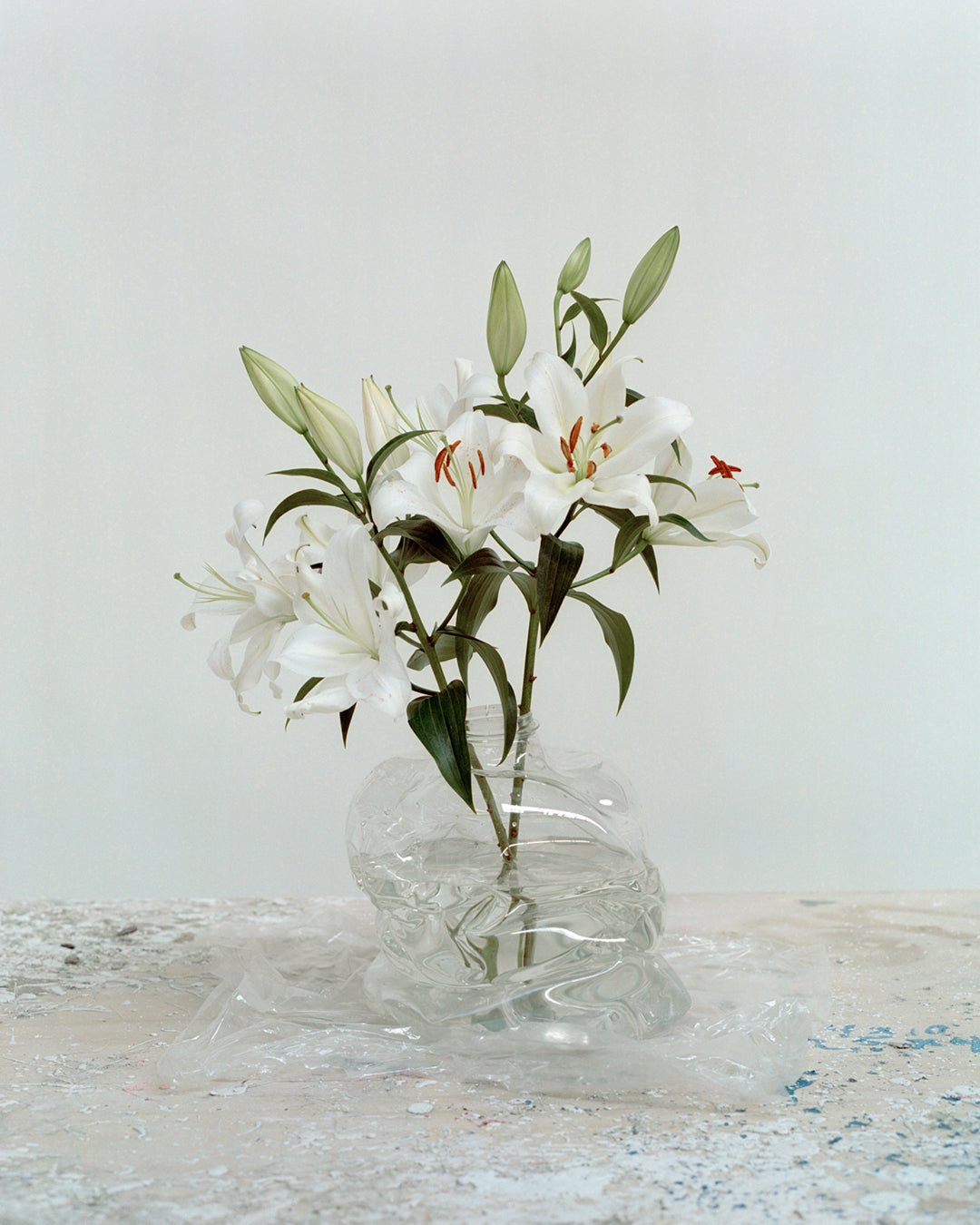 Eros Torso Classic Clear Vase