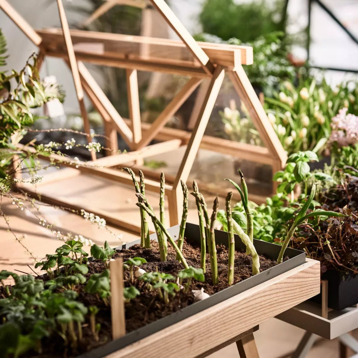 Greenhouse - Gewächshaus - Design House Stockholm – view 6